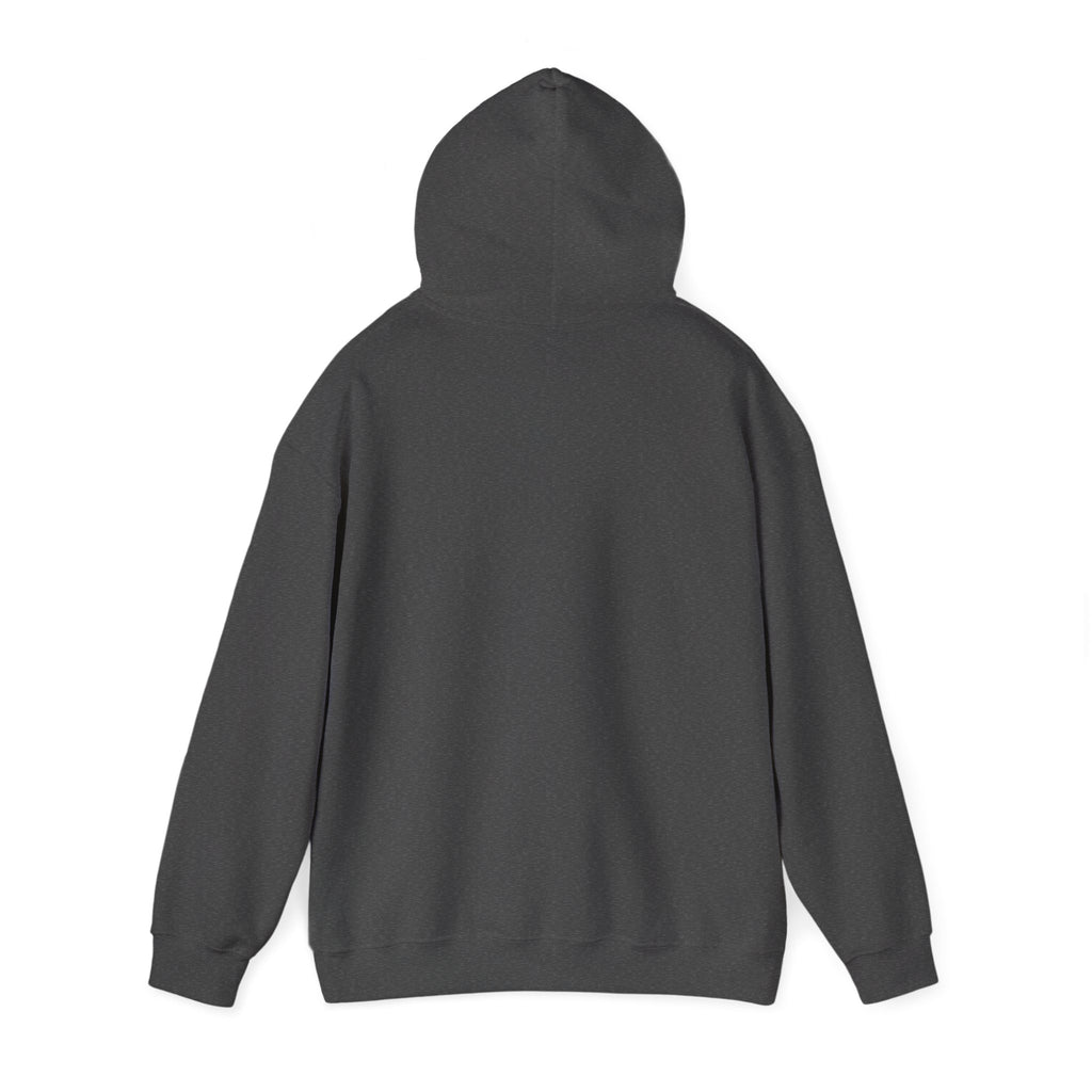 Lion Crest Hoodie — Brave Morning Prayer Graphic Hooded Sweatshirt