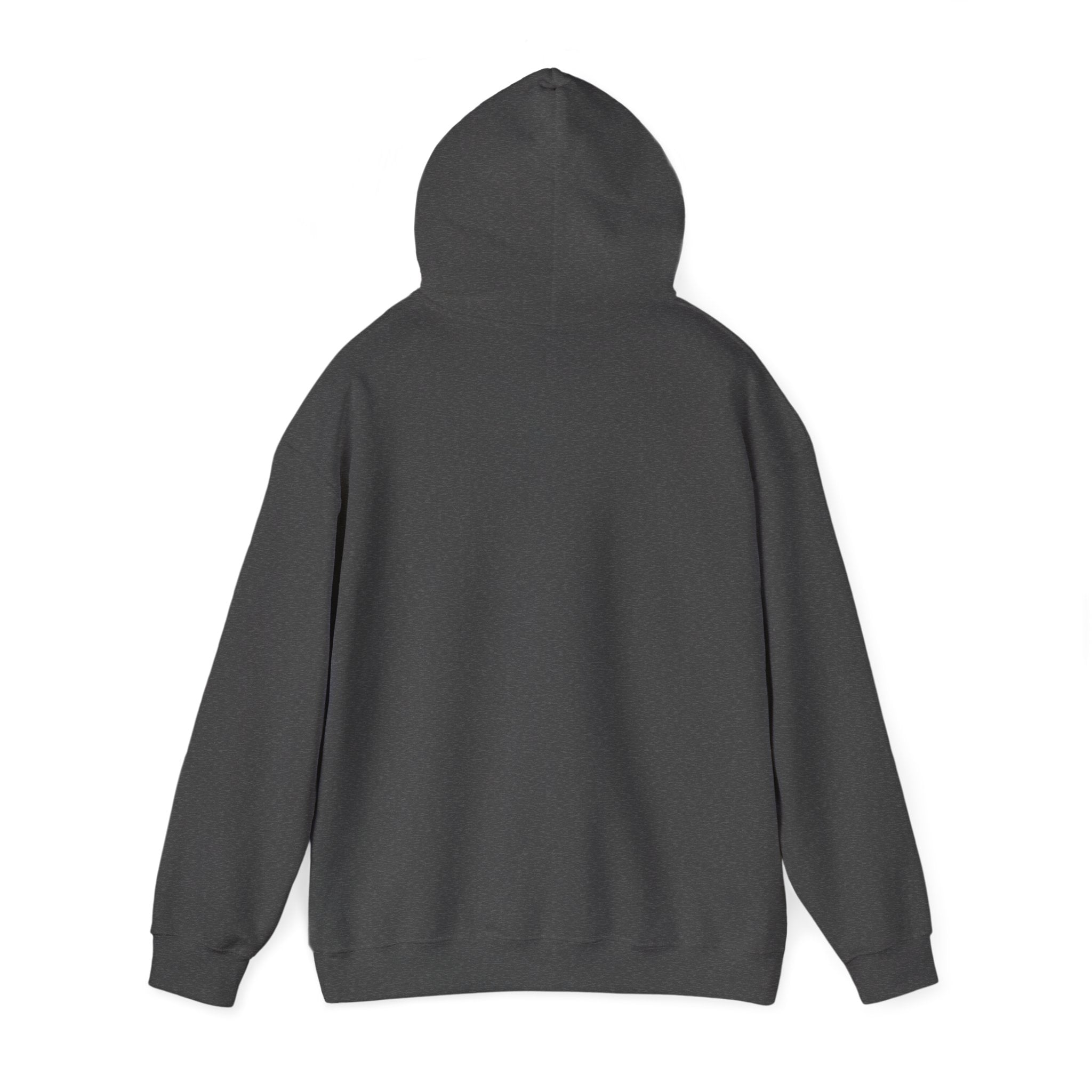 Lion Crest Hoodie — Brave Morning Prayer Graphic Hooded Sweatshirt