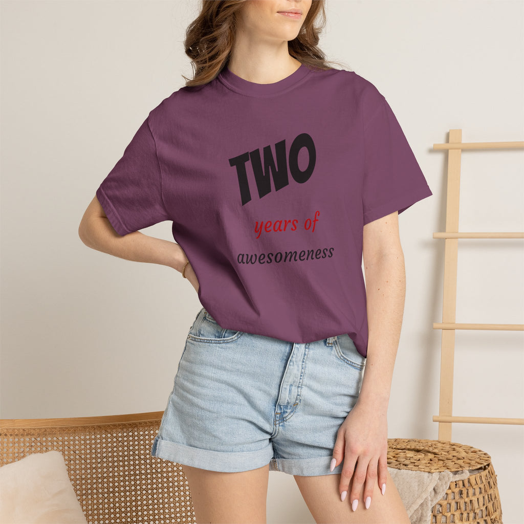 2 Years of Awesomeness T-Shirt