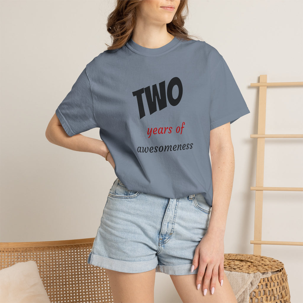 2 Years of Awesomeness T-Shirt