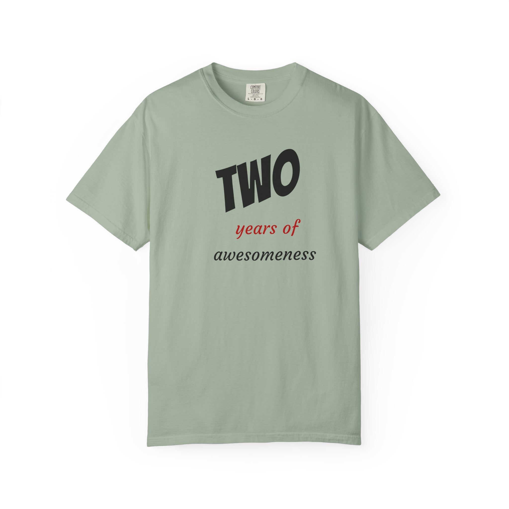2 Years of Awesomeness T-Shirt