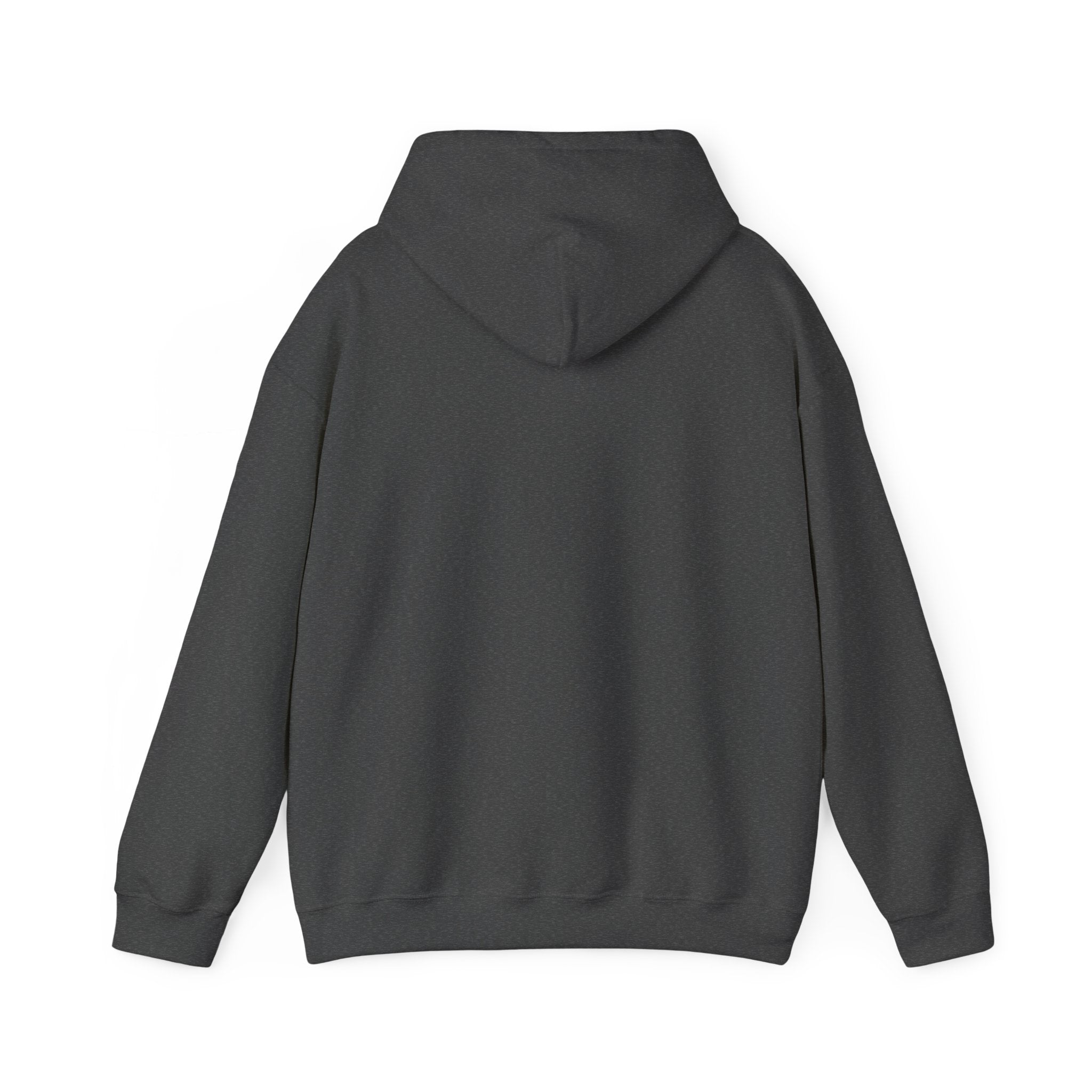 Lion Crest Hoodie — Brave Morning Prayer Graphic Hooded Sweatshirt