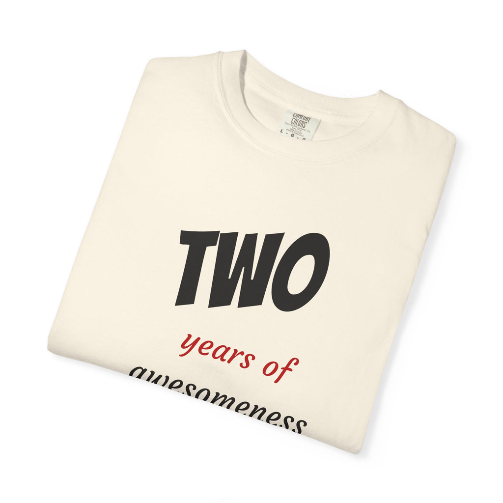 2 Years of Awesomeness T-Shirt