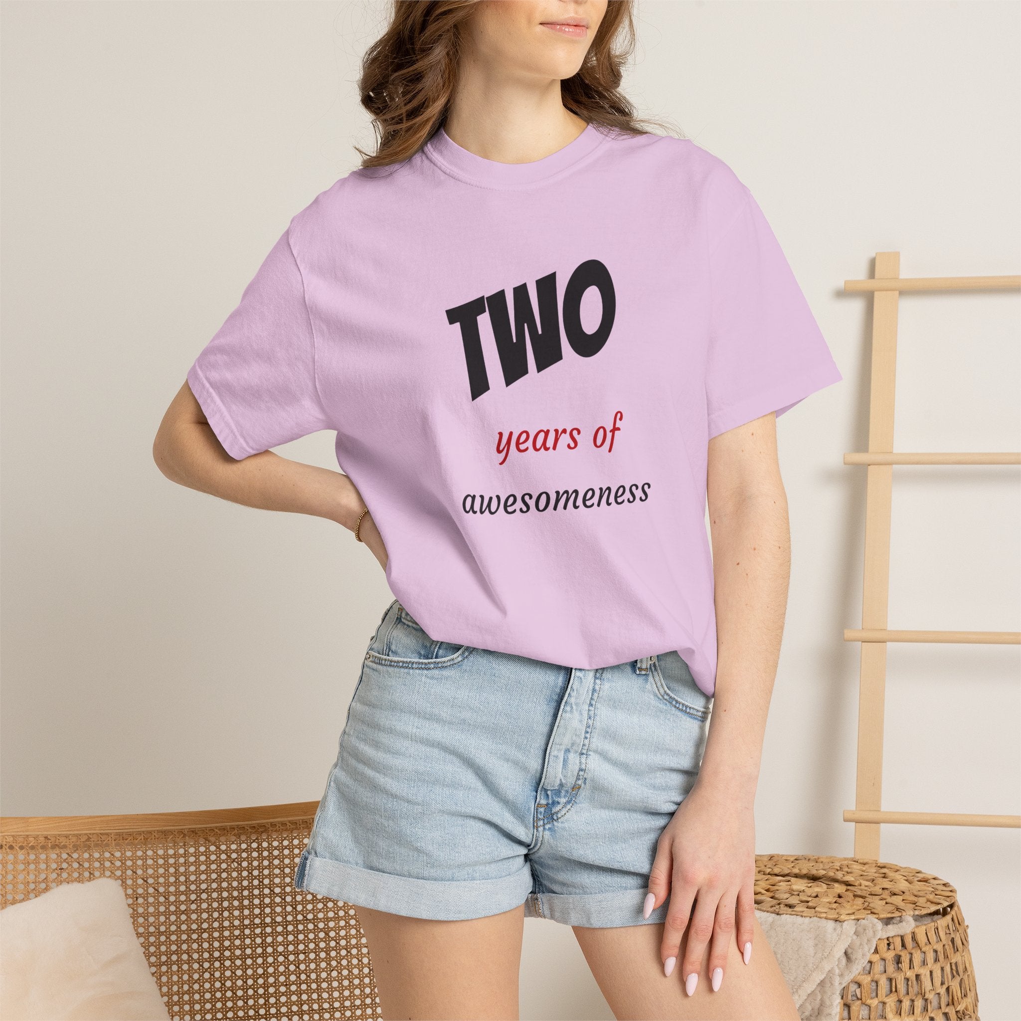 2 Years of Awesomeness T-Shirt