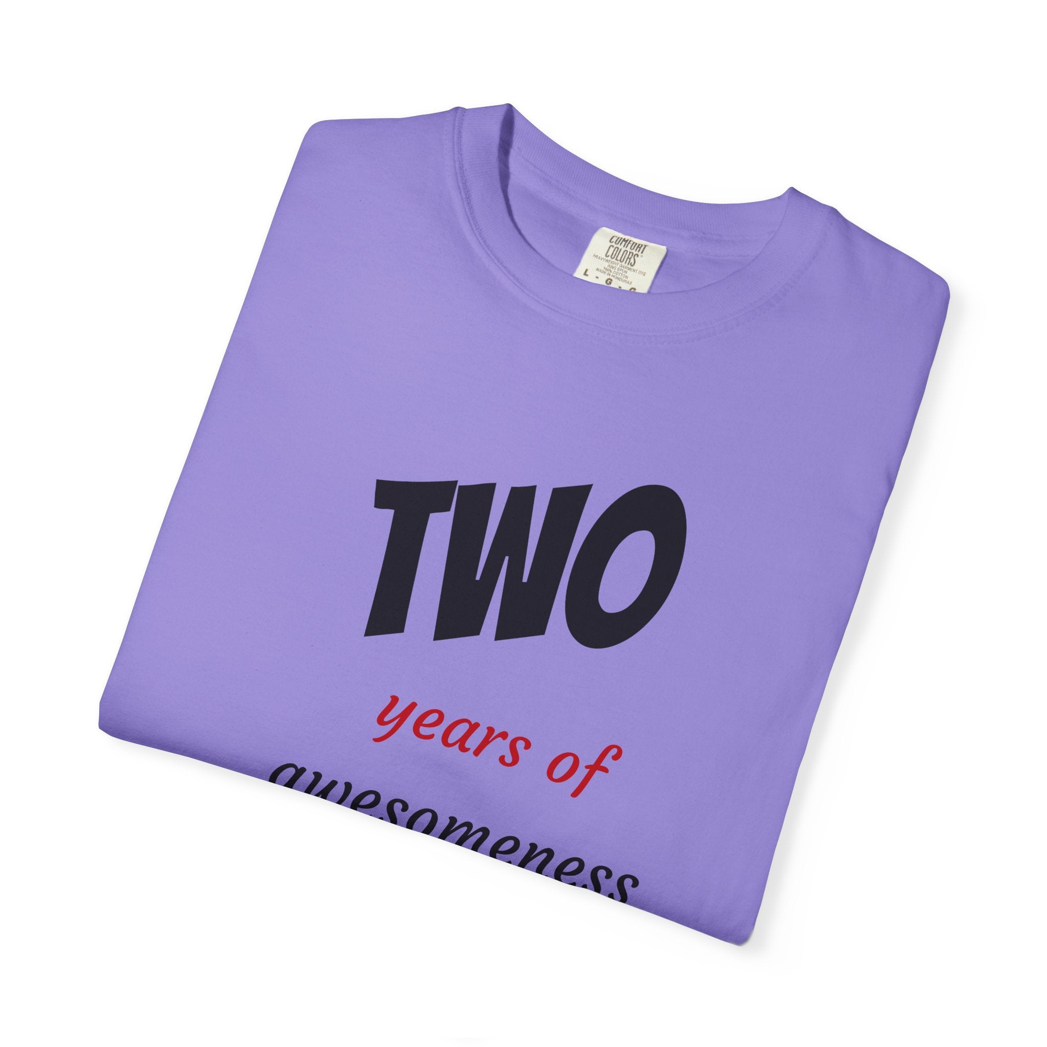 2 Years of Awesomeness T-Shirt
