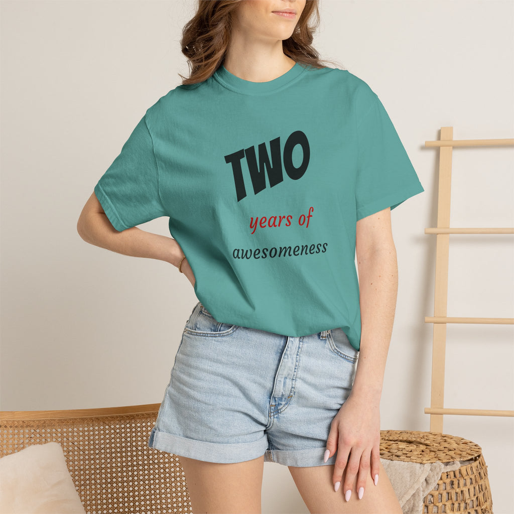 2 Years of Awesomeness T-Shirt