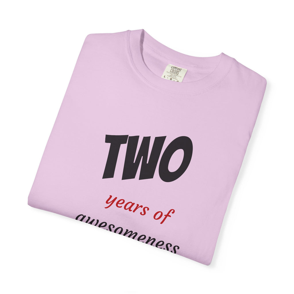 2 Years of Awesomeness T-Shirt