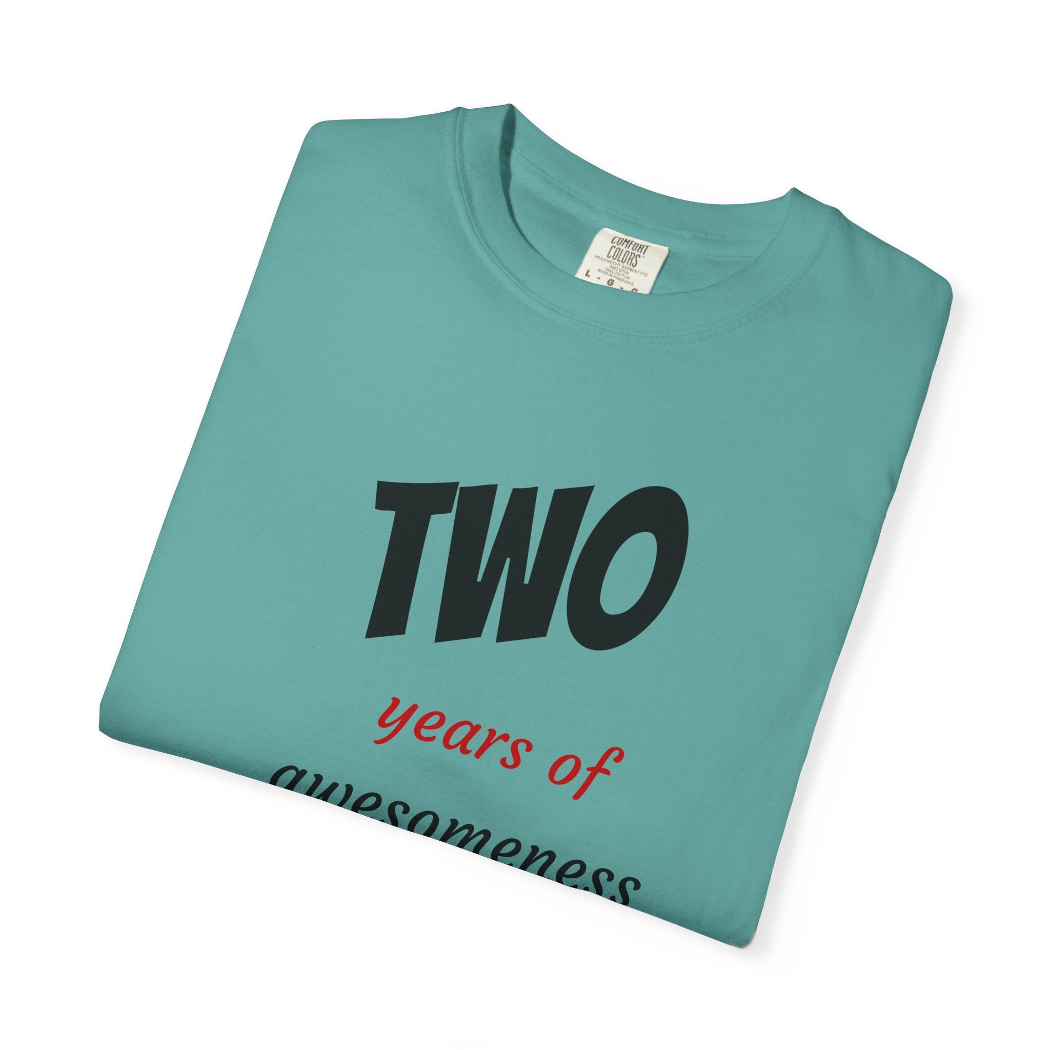 2 Years of Awesomeness T-Shirt
