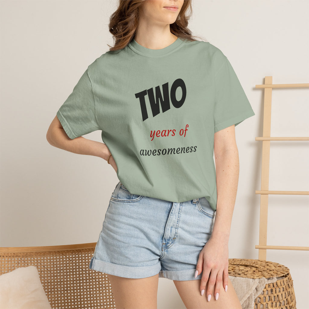 2 Years of Awesomeness T-Shirt