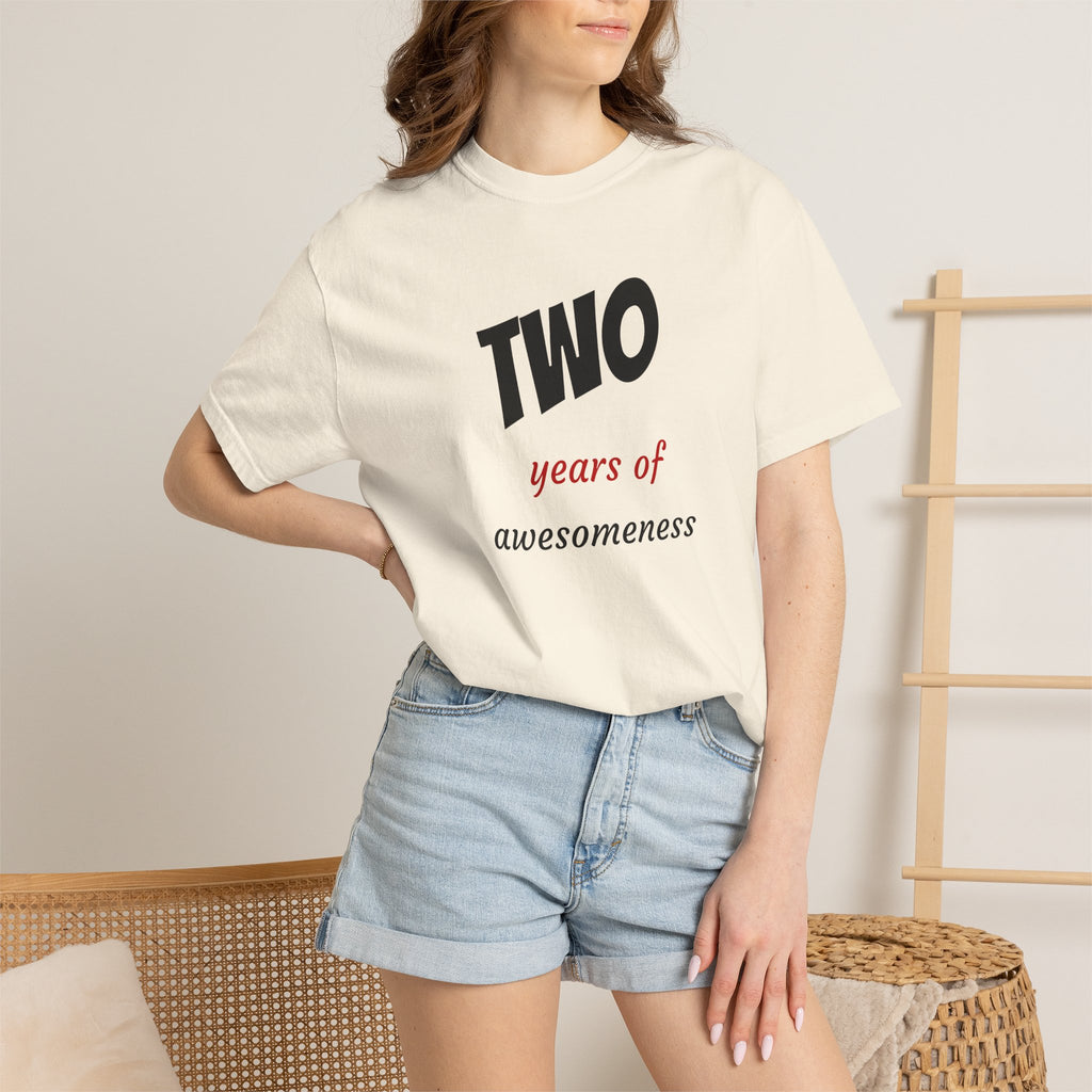 2 Years of Awesomeness T-Shirt
