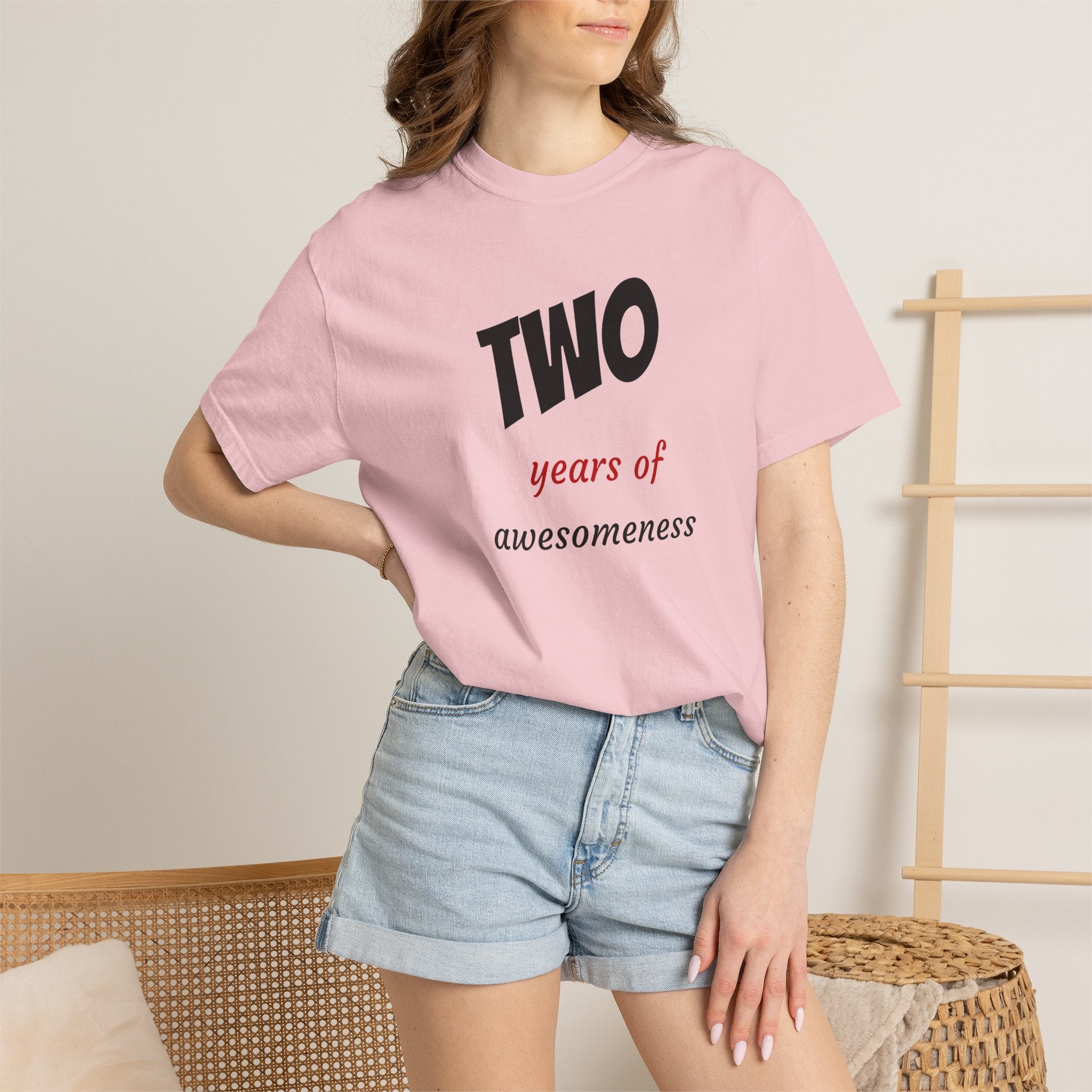 2 Years of Awesomeness T-Shirt