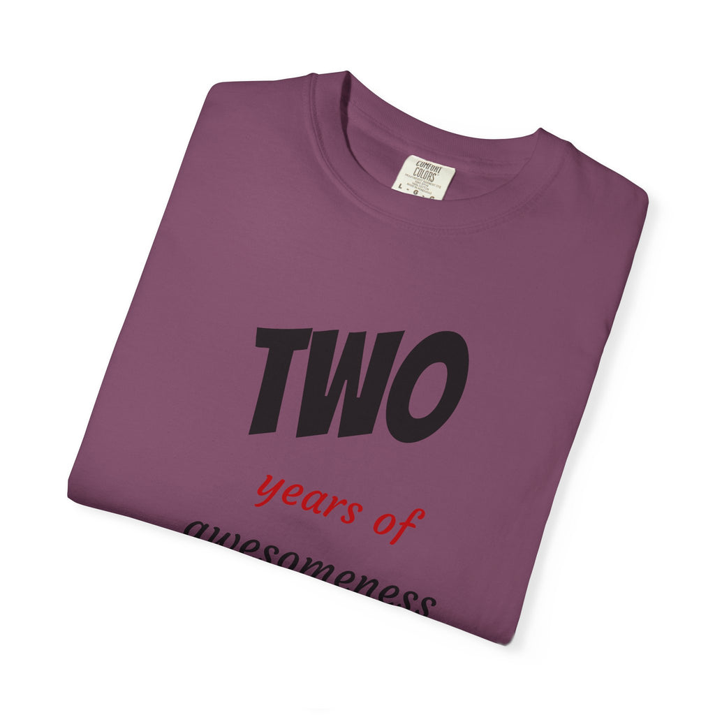 2 Years of Awesomeness T-Shirt