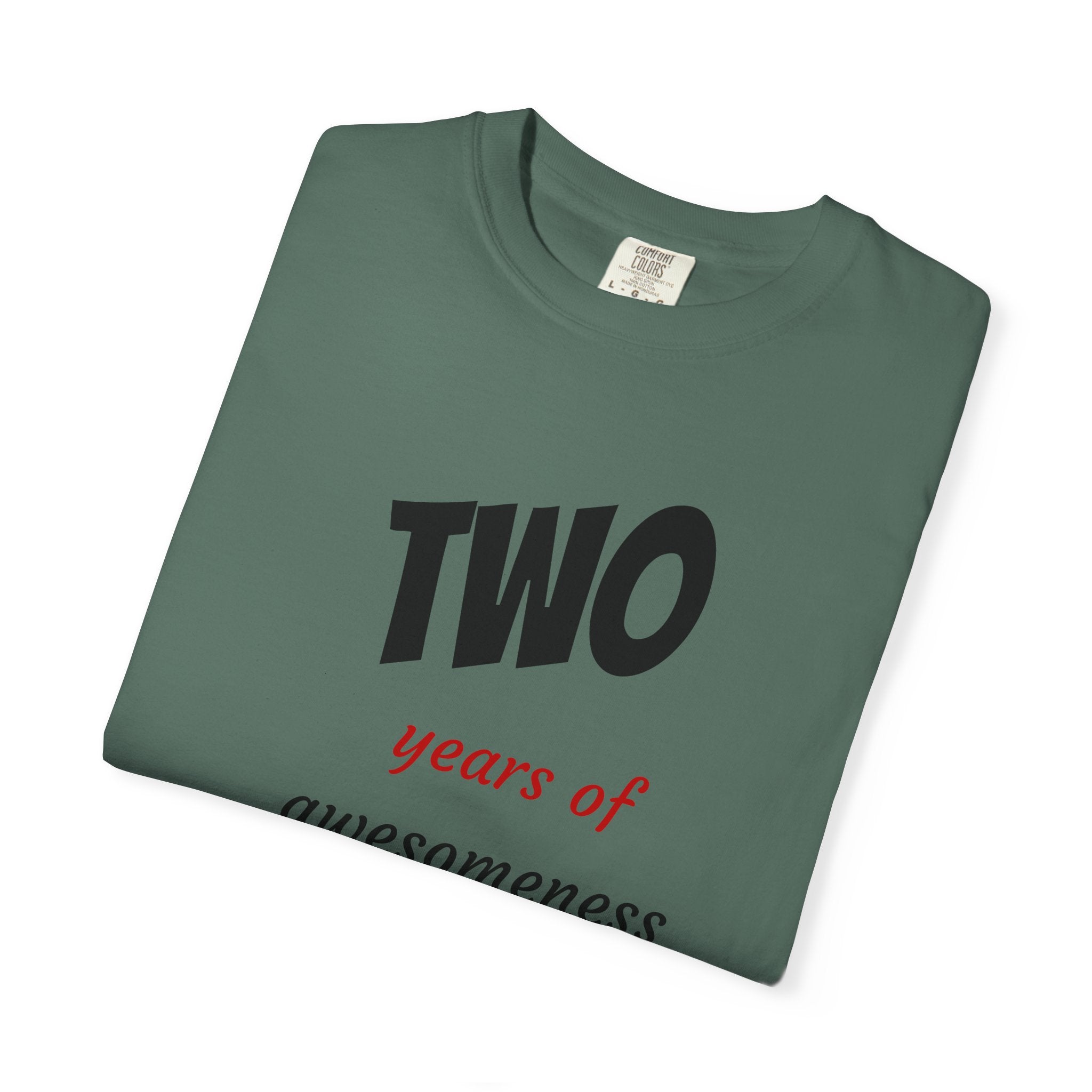 2 Years of Awesomeness T-Shirt