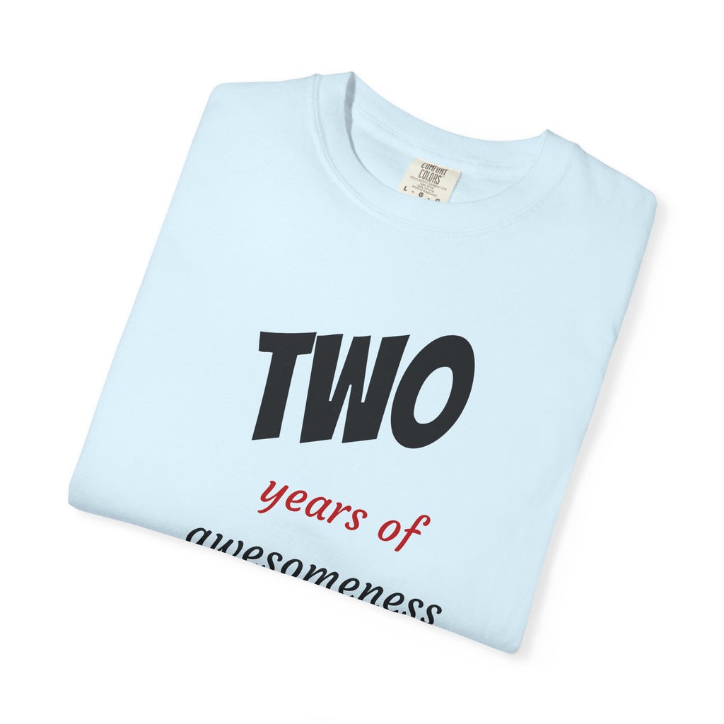 2 Years of Awesomeness T-Shirt