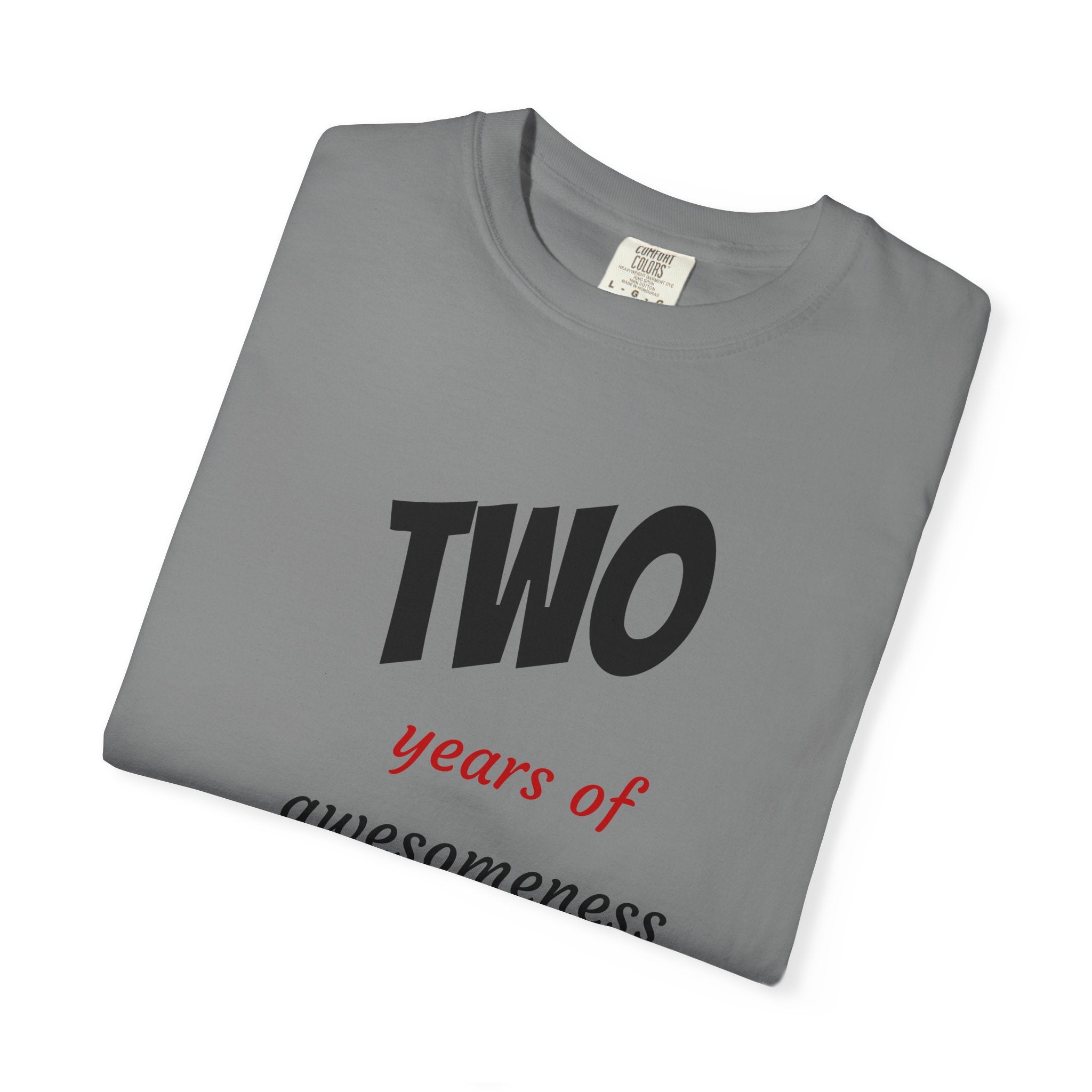 2 Years of Awesomeness T-Shirt