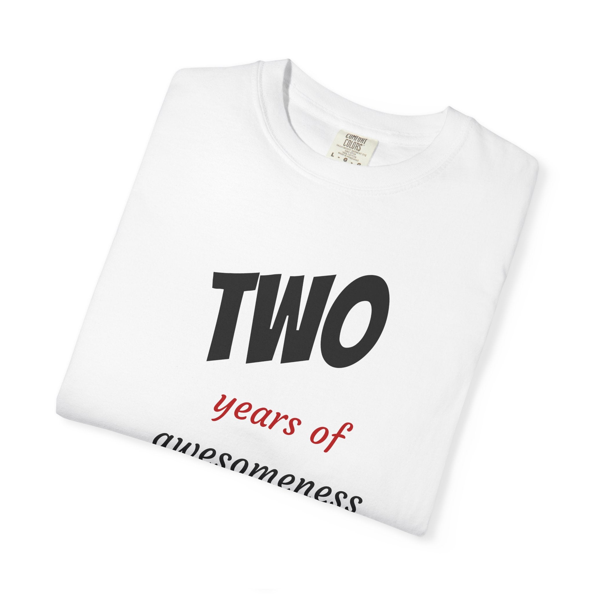 2 Years of Awesomeness T-Shirt