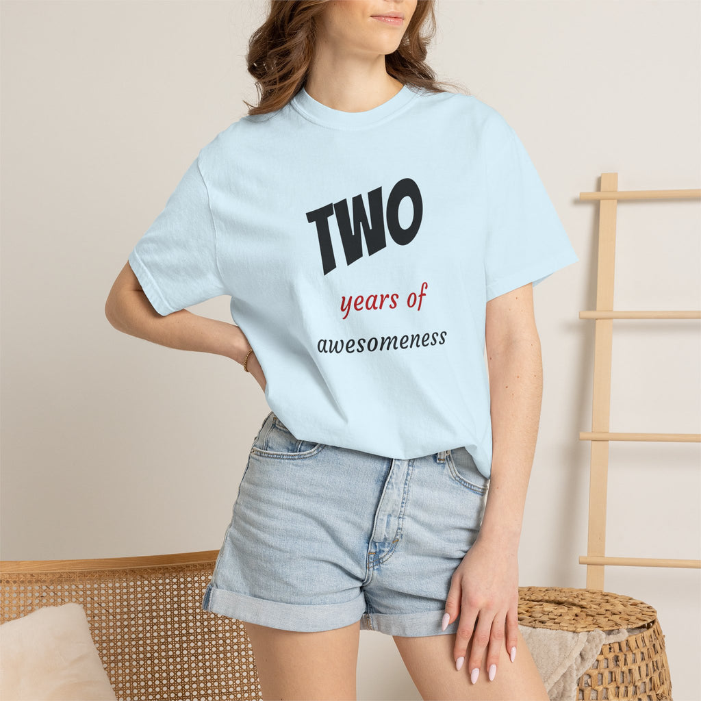 2 Years of Awesomeness T-Shirt