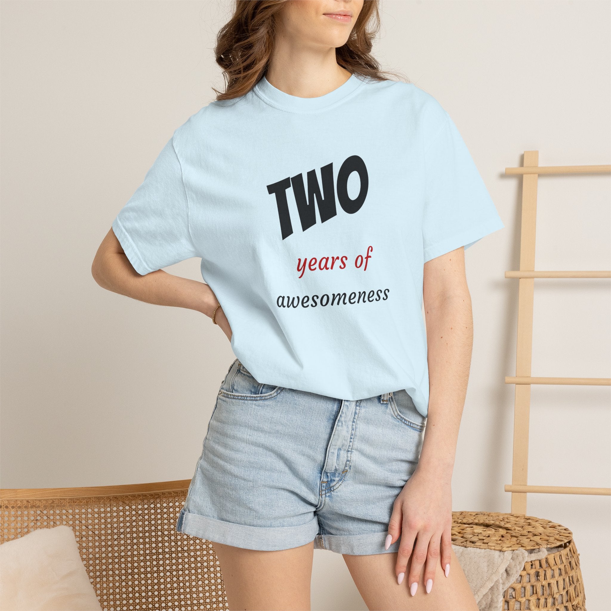 2 Years of Awesomeness T-Shirt