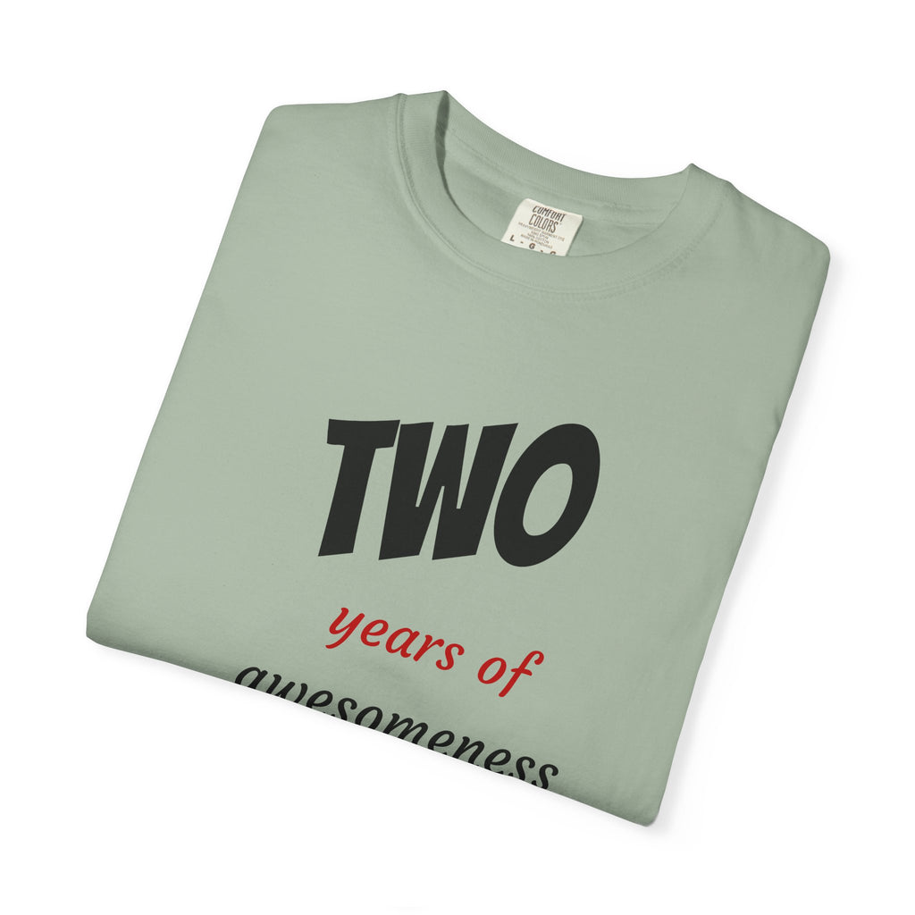 2 Years of Awesomeness T-Shirt