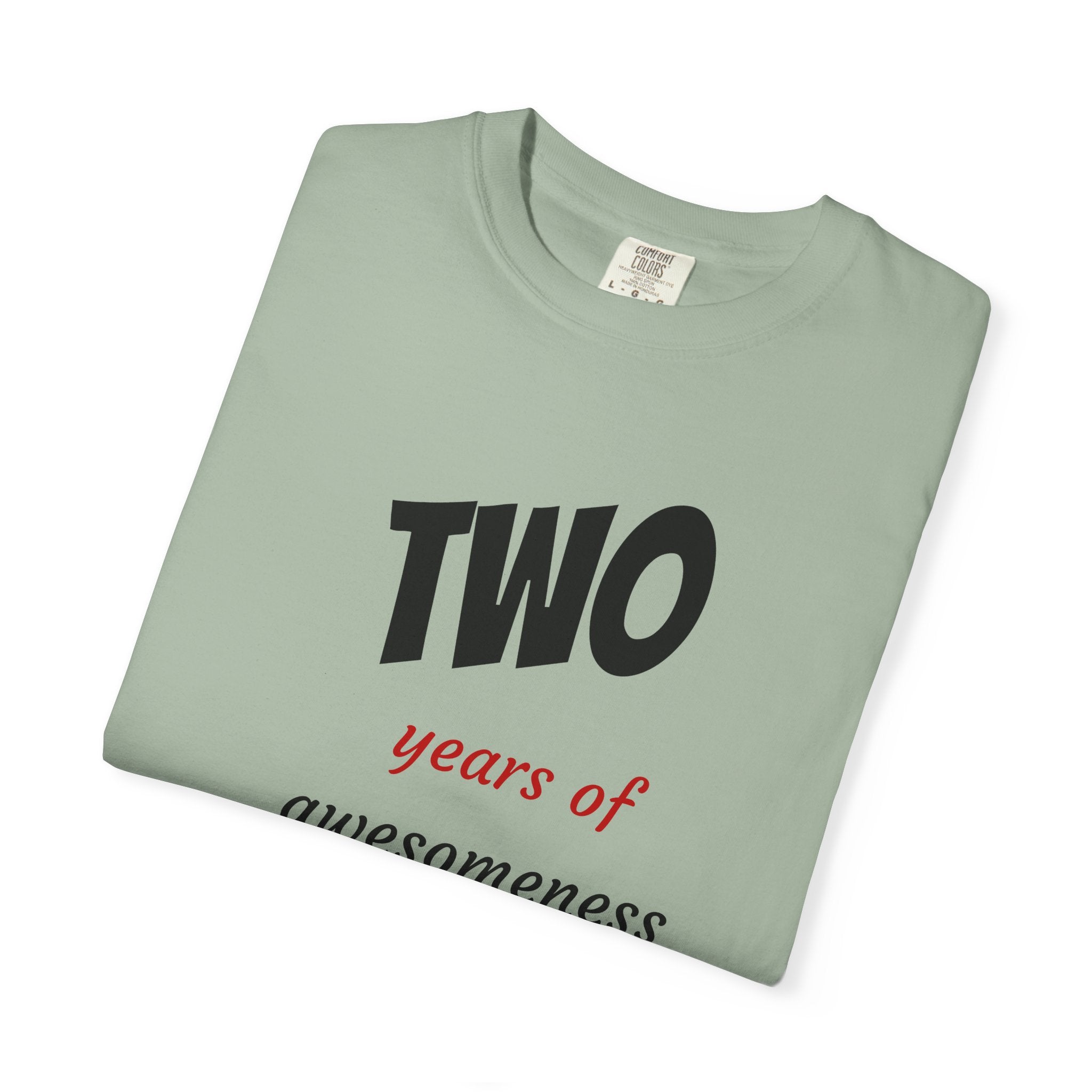 2 Years of Awesomeness T-Shirt