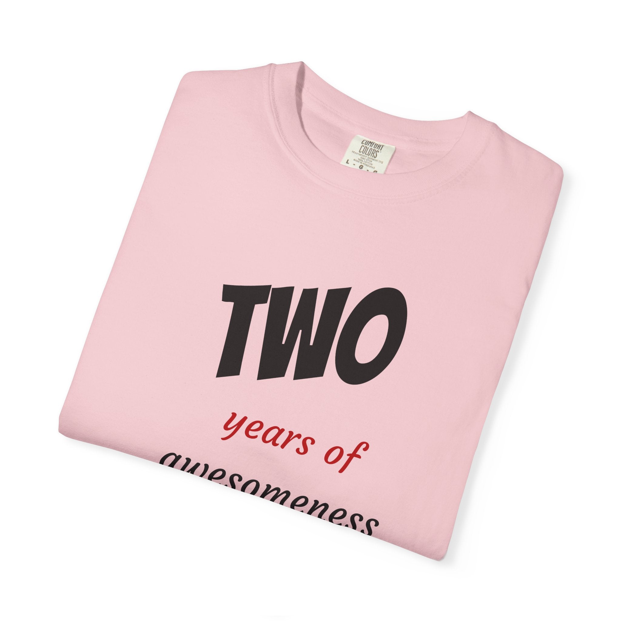 2 Years of Awesomeness T-Shirt