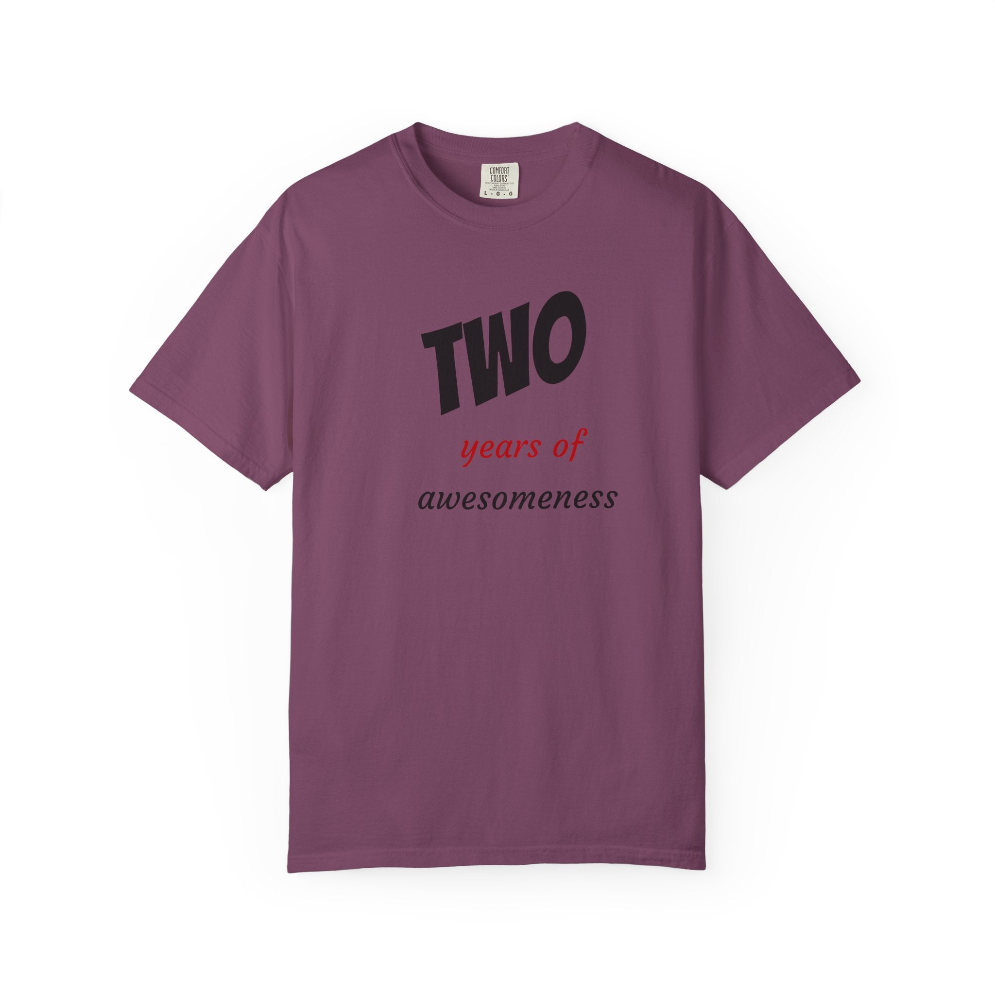 2 Years of Awesomeness T-Shirt
