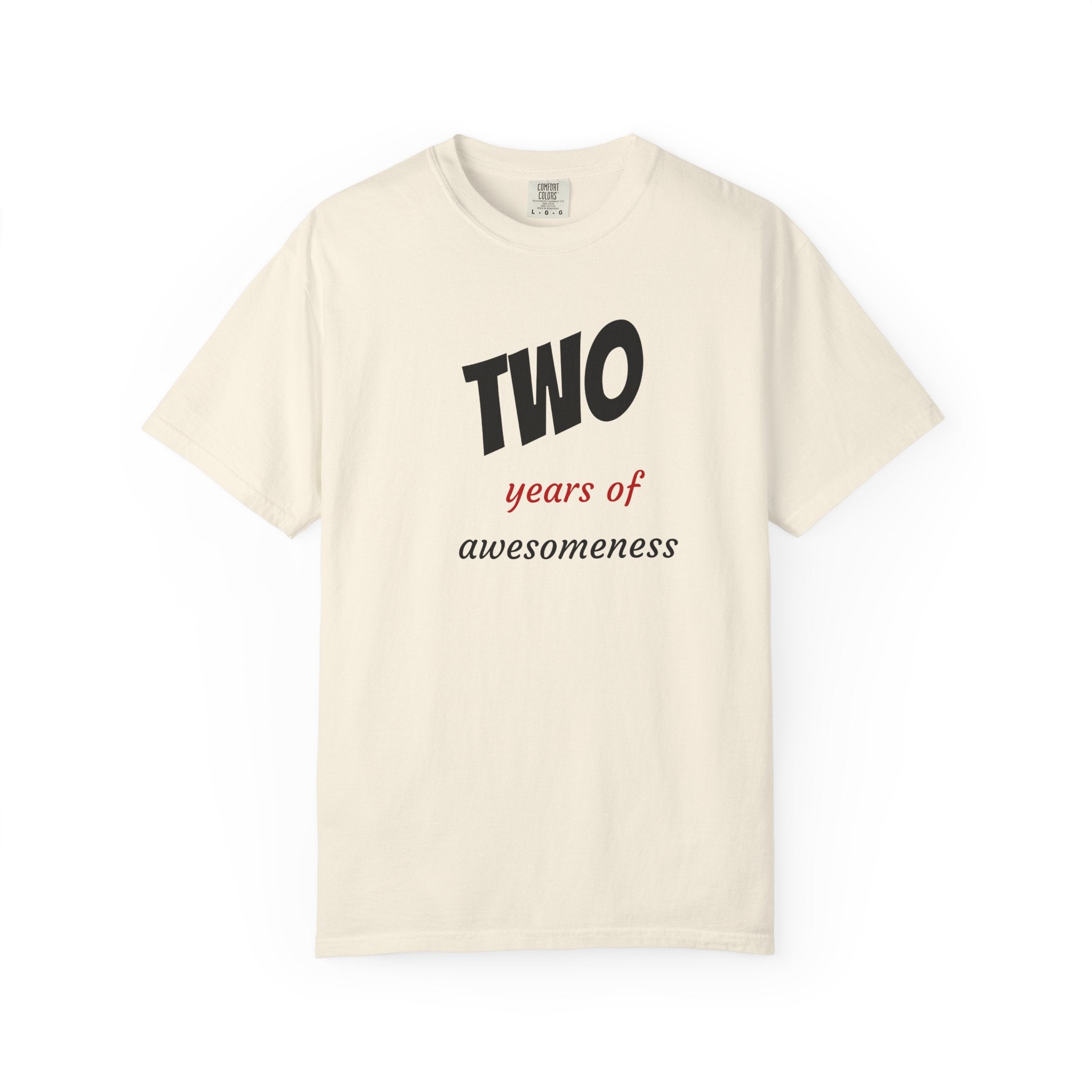 2 Years of Awesomeness T-Shirt